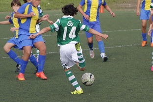 开云体育官网上-上海申花再遭柔佛新山逆转，1-3失利痛失连胜机会